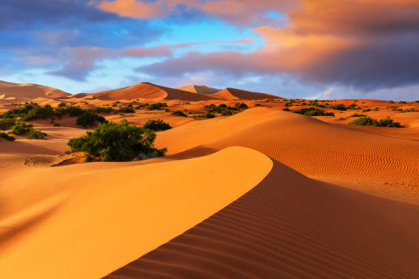 Image of vast sand dunes in the Sahara desert